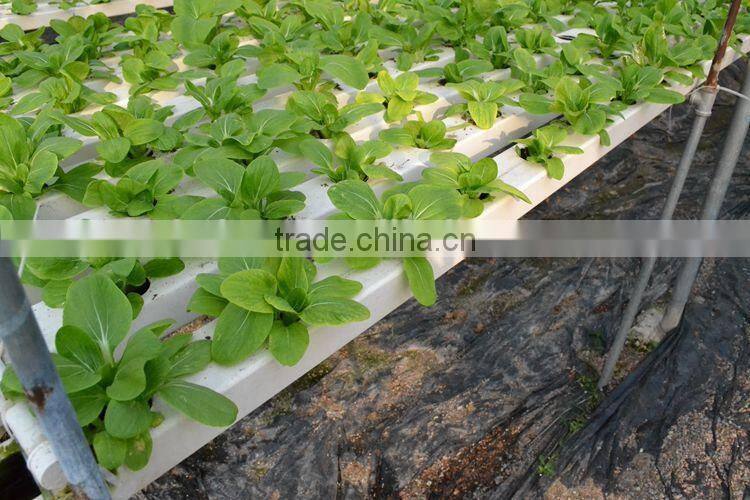 PVC Hydroponics square tube Industrial Hydroponic System