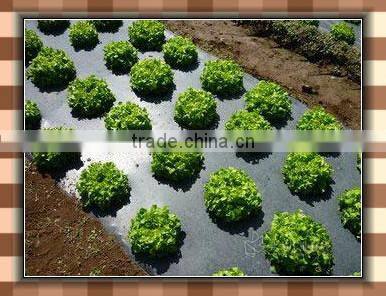 Black Agricultural Plastic Film