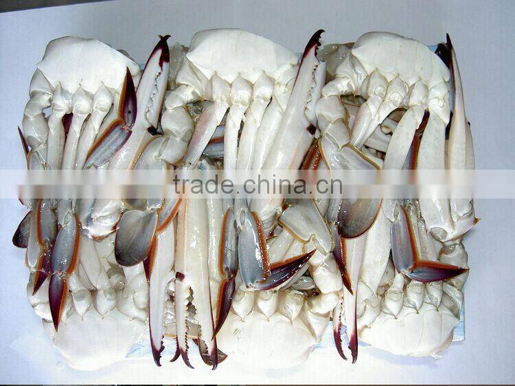 Frozen Blue Swimming Crab crab meat
