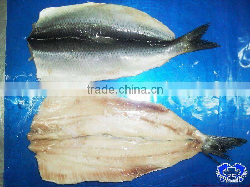 atlantic herrig fillet