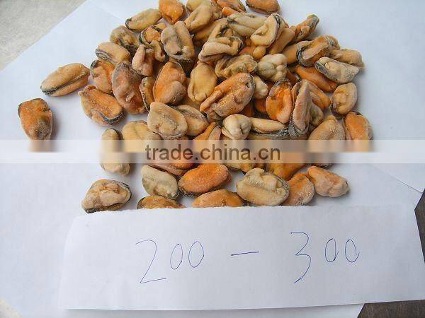 frozen cooked mussel meat