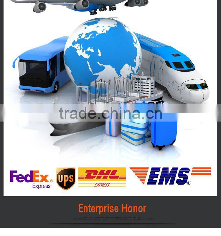 Various Size Professional Plastic Cutter 6" Plier