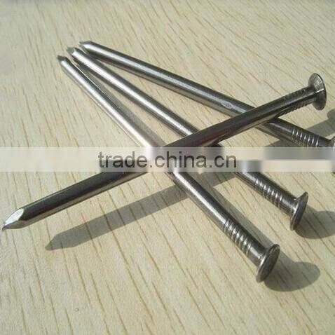 Polished Wire Nail From Guangzhou Supplier