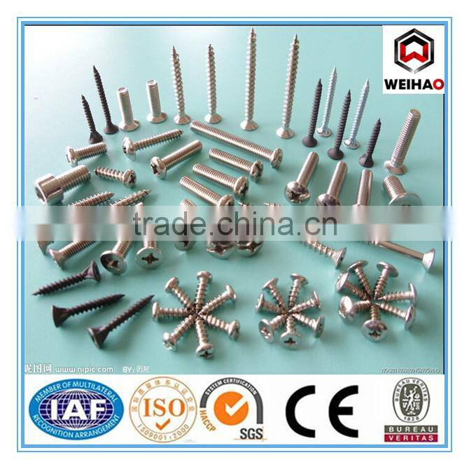 hot selling high qualiy flat head screw