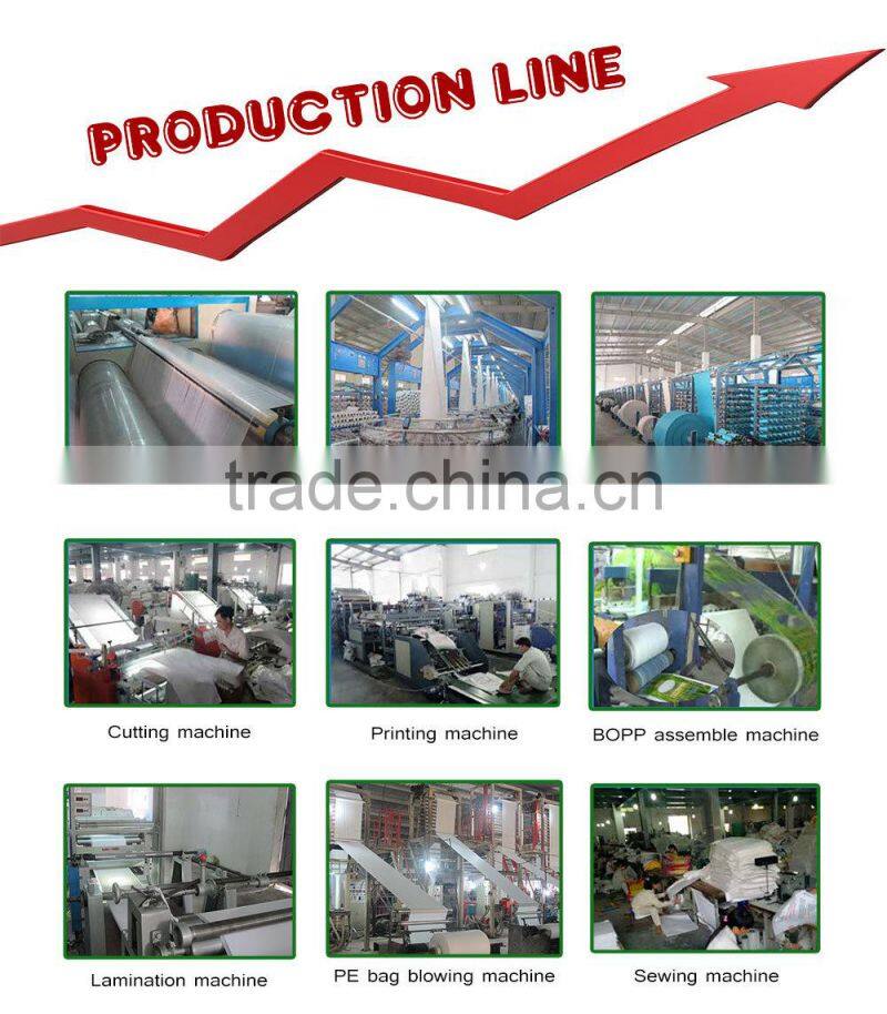 Vietnam PP woven bags/sacks