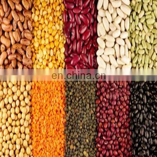 Cost effective High-efficiency grinder mill for dry and wet material