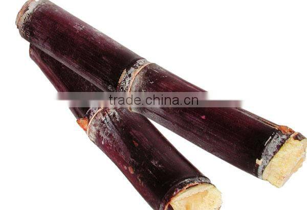 Stainless Steel Sugarcane Juicing Machine