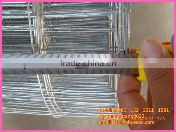 1" hot dip galvanized iron wire mesh fence