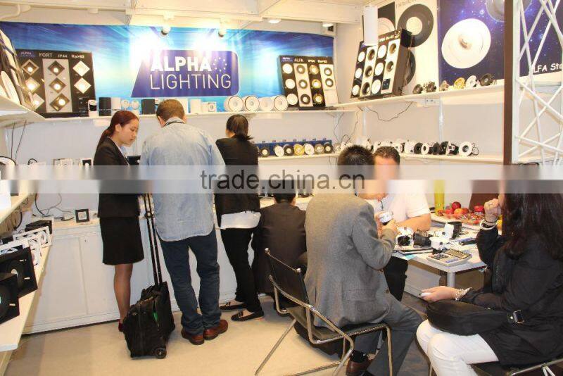 Cob citizen rated slim down light led,slim led down light,led slim down light