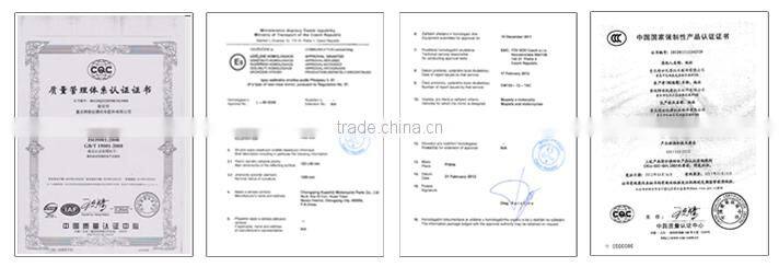 BJ-MG-001A Zebra clear transition riding glasses for motorcycle