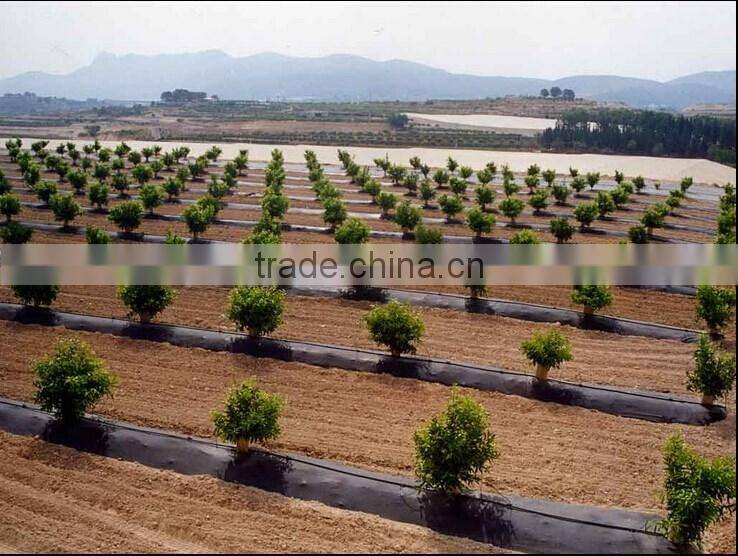 garden ,horticulture pp/pe plastic weed mat control textile soft cloth