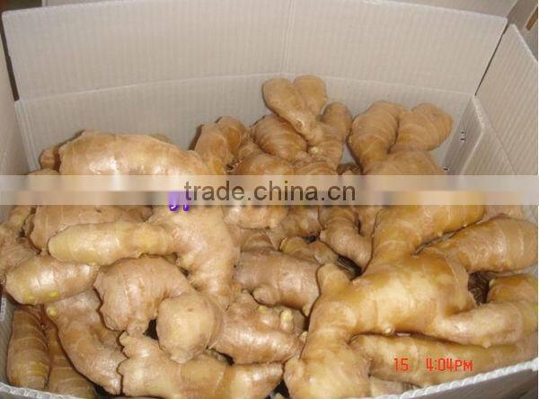 2014 New Crop Air Dried Ginger Lowest Price