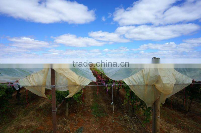high quality factory produced strawberry greenhouse film/plastic thin film/blow molding film
