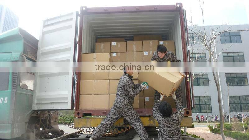 Industrial lamp fitting with induction light