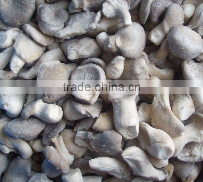Frozen Oyster mushroom 2012 hot sale