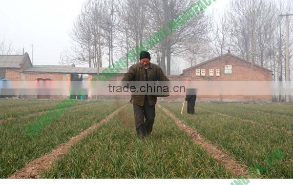 Best quality manure urea fertilizer production equipment