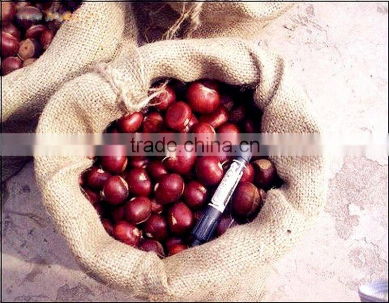Bulk excellent Quality new fresh Dandong Chestnuts