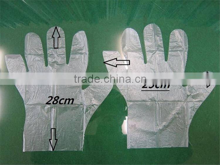 Best popular good quality and cheap biodegradable plastic gloves for kitchen usage manufactured by factory T&L brand