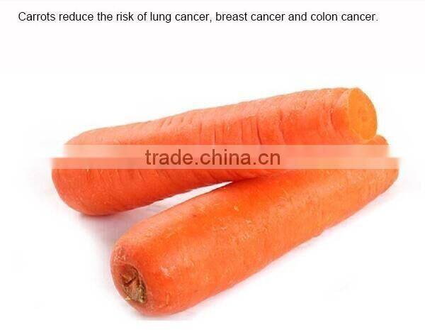 New Fresh Red Carrots carrots from China fresh carrot