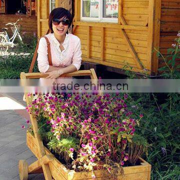 common iron round flat head nail