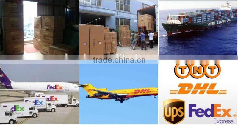 Halloween Decoration Inflatable Black Cat with Pumpkin