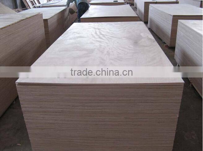 High Quality Dubai Market Commercial Plywood at Wholesale Price