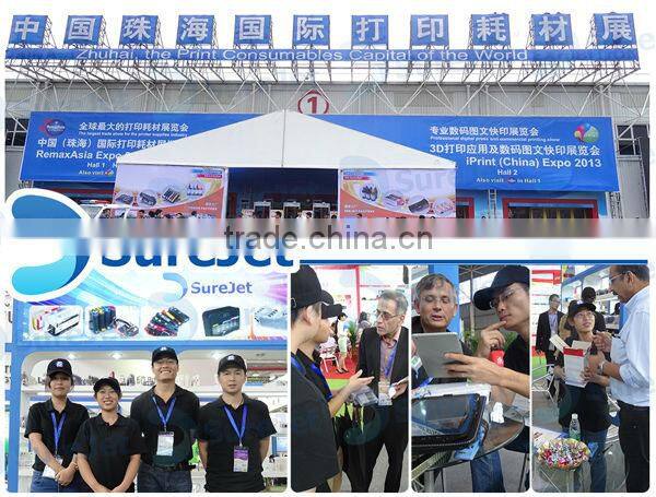 auto reset chip for epson 1331R combo chip for Asia Pacific Stylus T12,T22, TX120,TX129,TX130