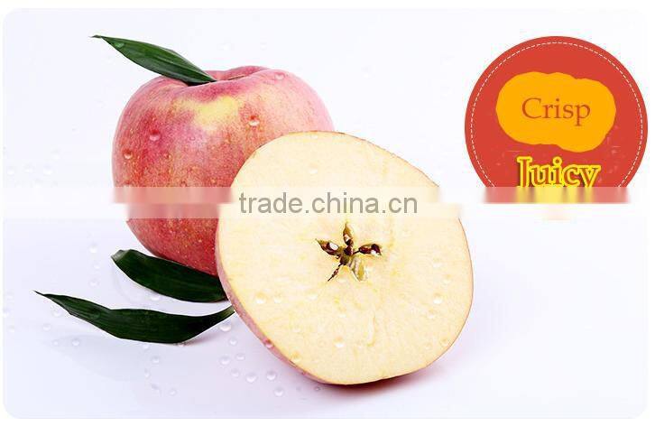 new 2016 Professional Delicious High Quality Fresh Red Hanfu Apple