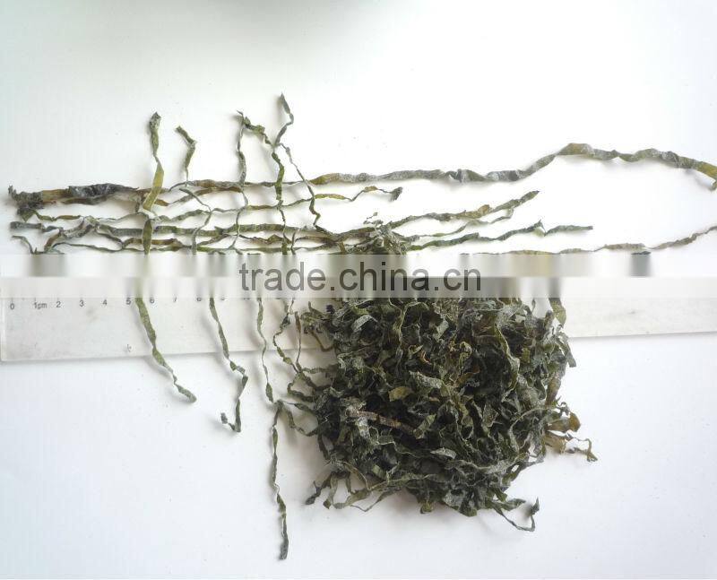 New arrival dried machine kelp for salad