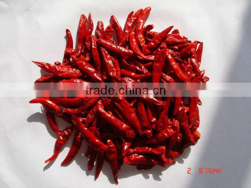 Whole Sale Bulk Spice Bird's Eye Chilli