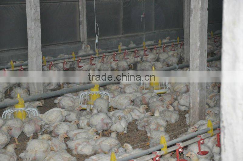 poultry farming equipment