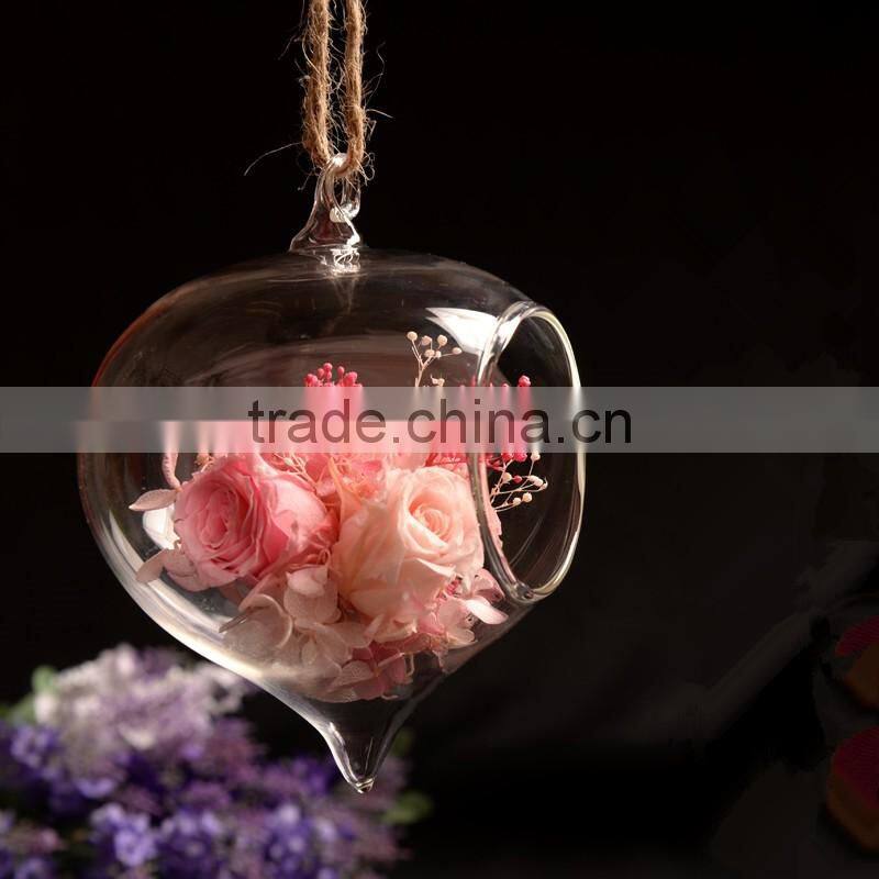 clear glass Vase glass Landscape bottle 2 sizes hanging available