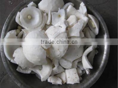 Automatic coconut grinding machine 220V 240V 380V