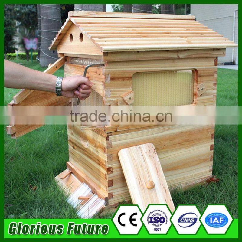 Beekeeping Factory Sale Exquisite Honey Comb Containers and Box Price