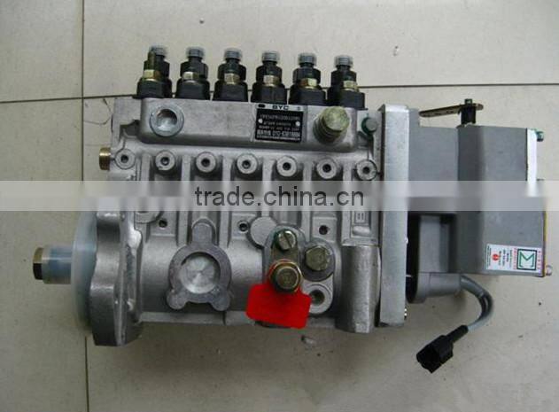 Genuine Parts with Cummins kta19 Engine PT Fuel Pump