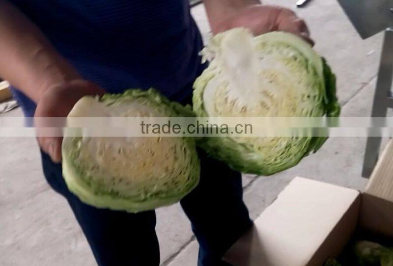 Fruit Vegetable Tomato Half Cutting Machine