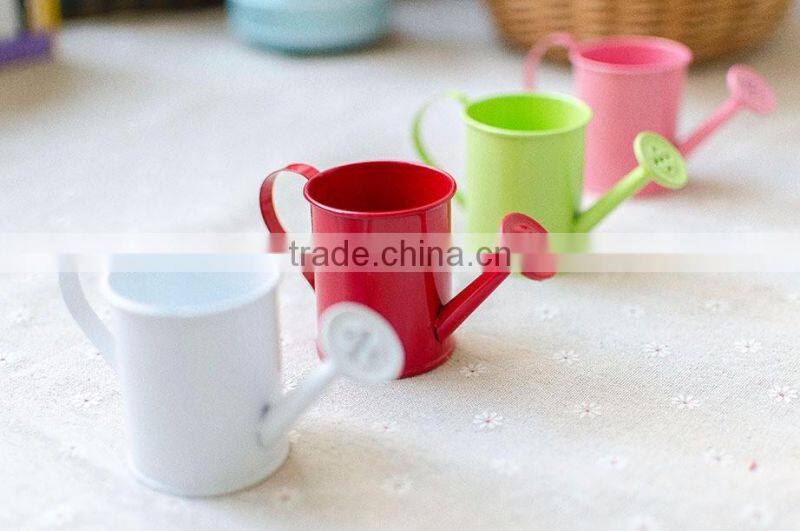 cheap small indoor 2 or 2.5 inches white metal flower watering can mini planter for succulents