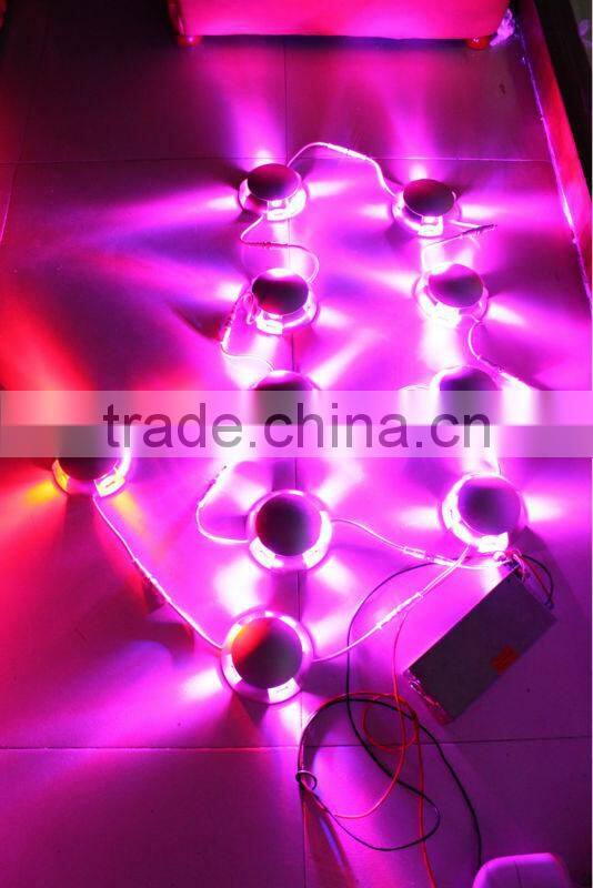 Outdoor Stainless Steel Step Wall Light