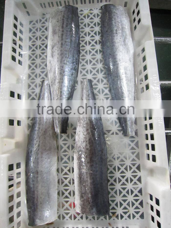 A grade quality frozen spanish mackerel fillets