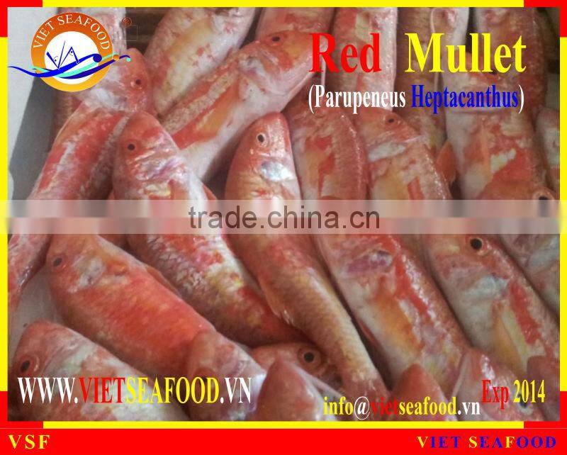 FROZEN WHOLE ROUND RED MULLET