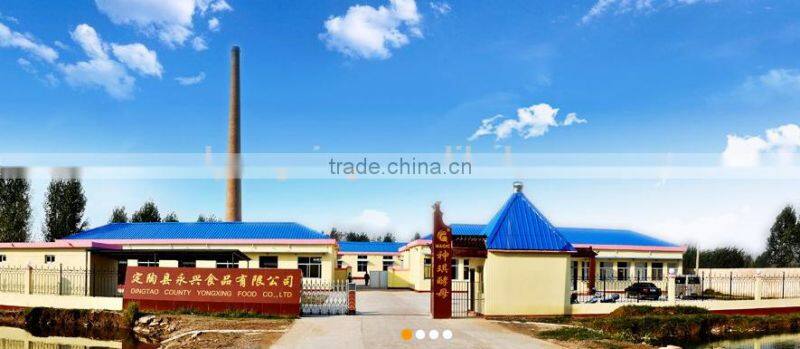 China Halal, Kosher FDA bakery instant dry yeast manufacturer