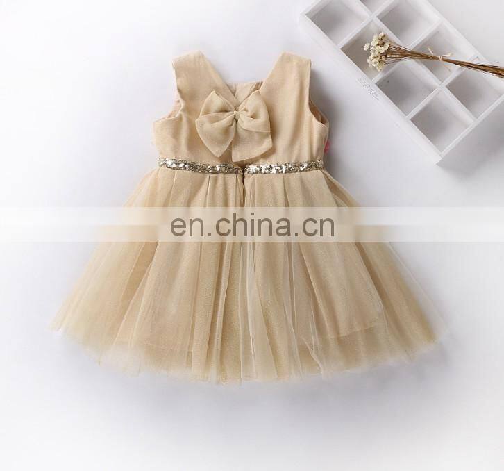 Champagne Flower Baby Girl Dress Sleeveless Petal Tulle Dress Princess Costume