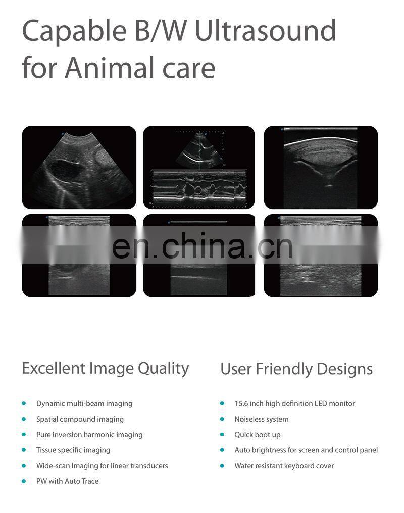 Factory price ultrasound device Price / New Released Sonoscape Vet Ultrasound E1V