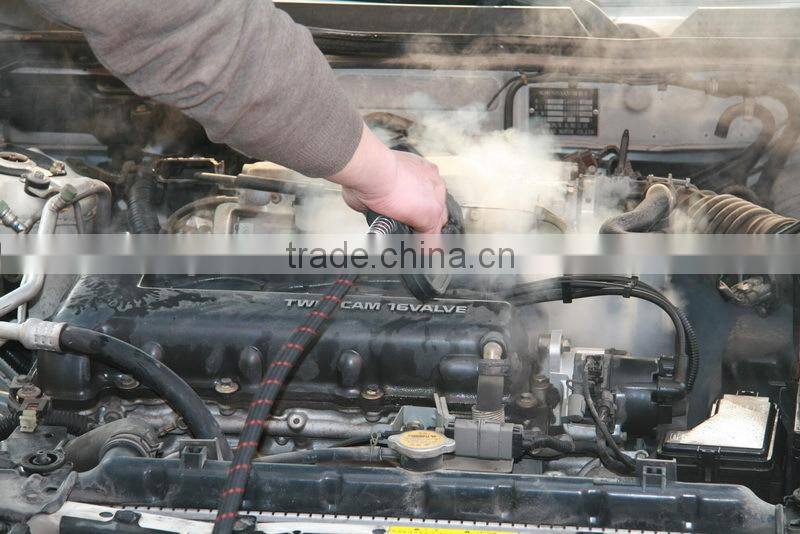 mobile steam car wash, 220V 6KW steam washer, steam car wash system