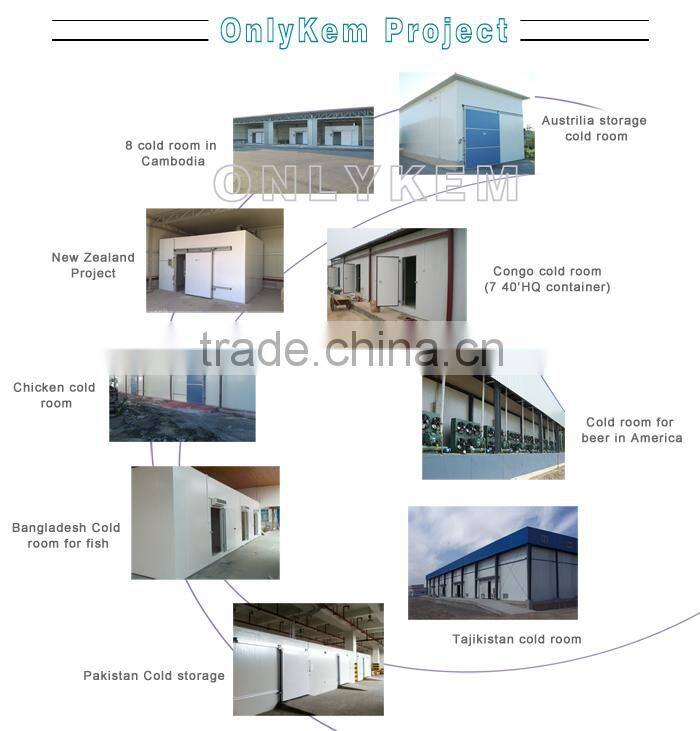 Copeland compressor R22 condensing units for cold storage