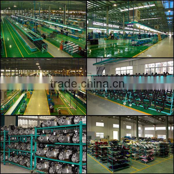 China and Chinese motor for moped --Znen King 50cc 2 stroke Scooter