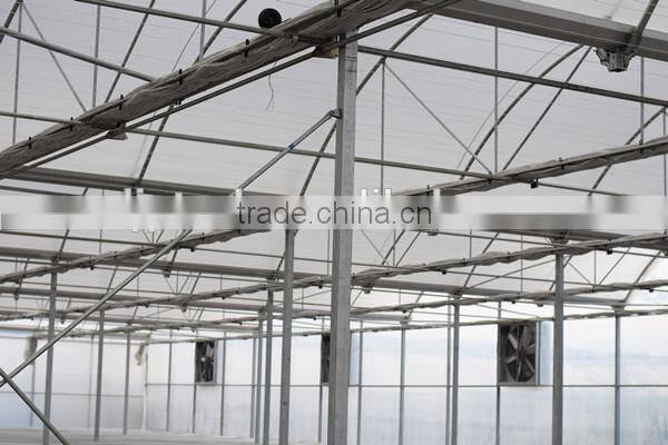 Greenhouse 2 Speed Electric Motor for Ventilation