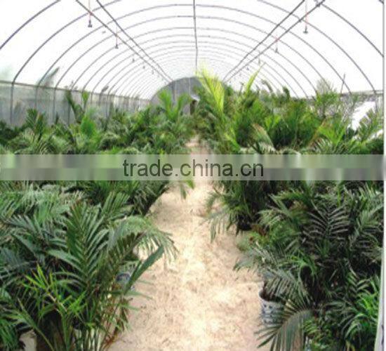 garden tunnel greenhouse for sale