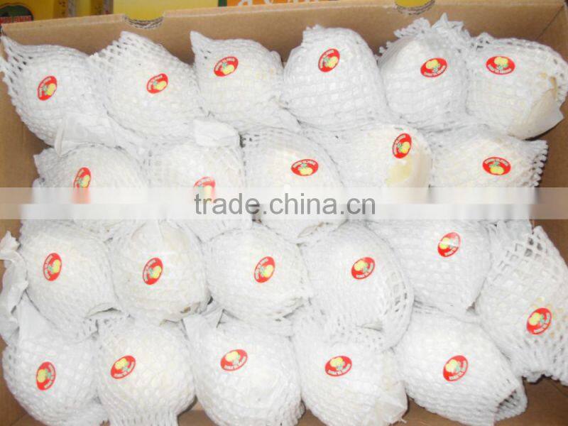 2015 new crop Chinese fresh Ya pear for export