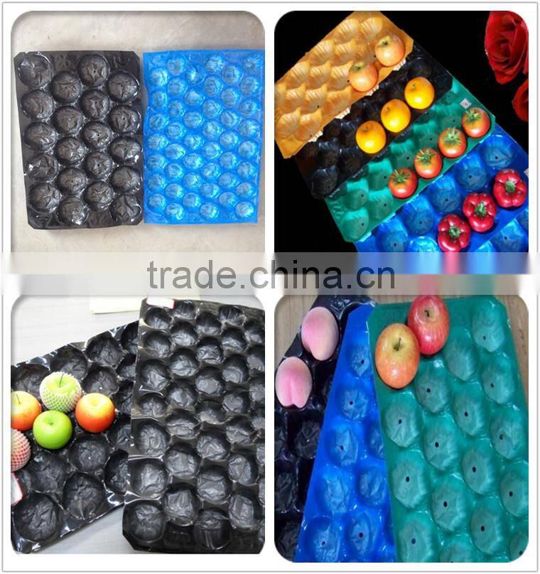PP/PS/PET plastic tray /packaging tray /fruit tray